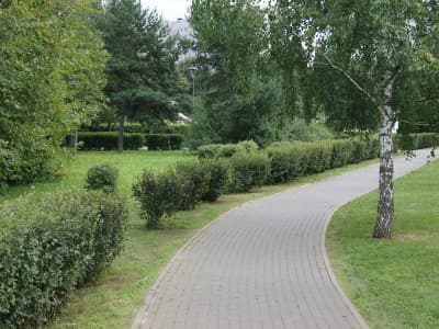 cart-image